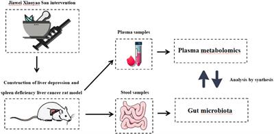 Integrated Plasma Metabolomics and Gut Microbiota Analysis: The Intervention Effect of Jiawei Xiaoyao San on Liver Depression and Spleen Deficiency Liver Cancer Rats